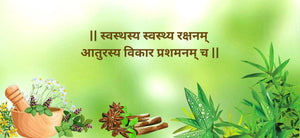 Ayurveda vs Allopathy: Which Path Leads to Better Long-Term Health?