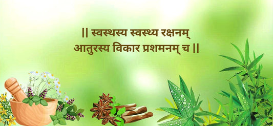 Ayurveda vs Allopathy