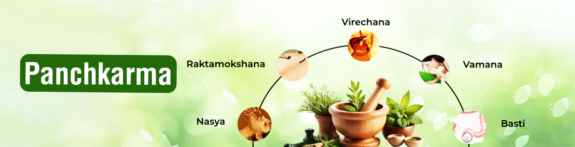 Ayurveda and Panchkarma