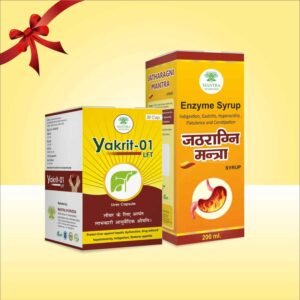 Mantra Ayurveda - Gastro–Liver Care Duo Kit (Yakrit 01 LFT & Jathragni Mantra)